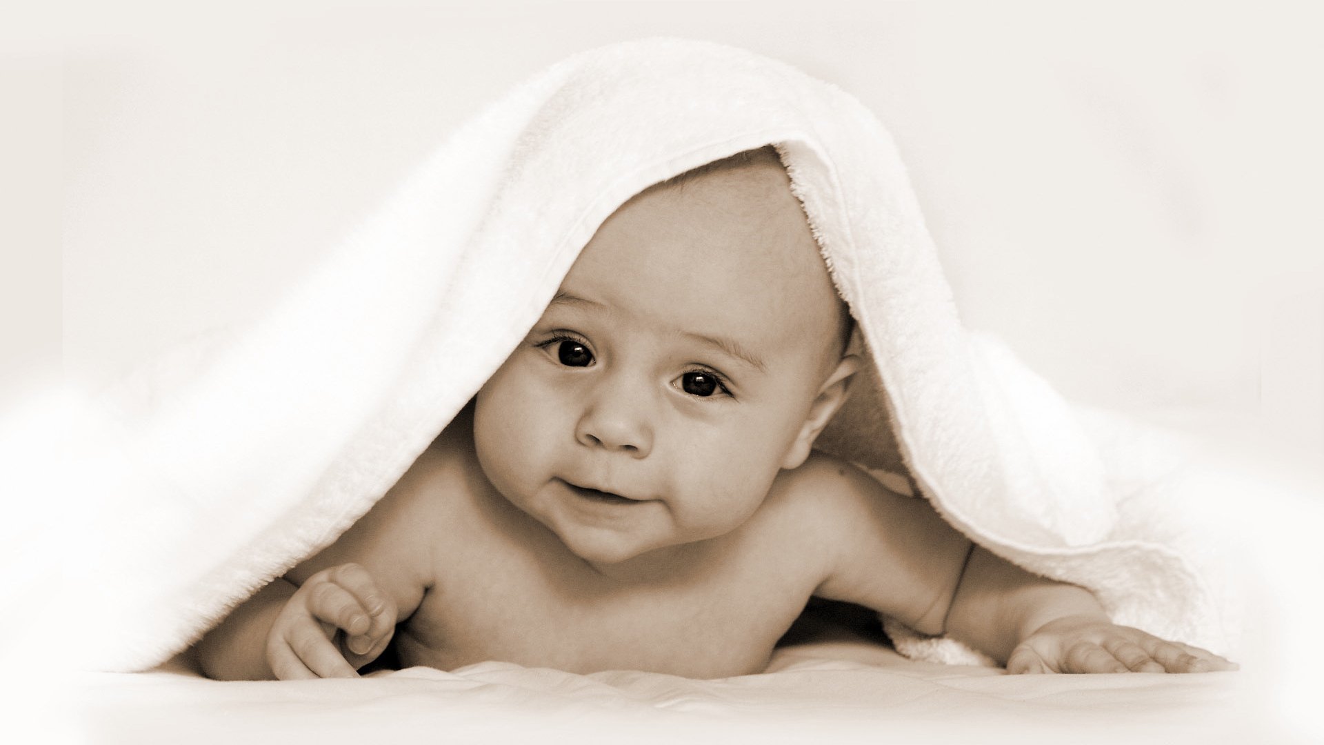 廊坊供卵代生试管婴儿第二代成功率